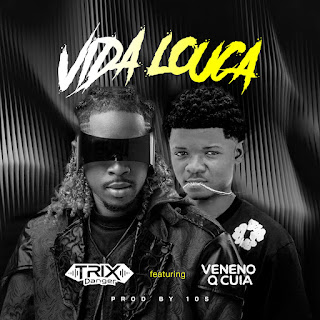 Dj Trix Danger & Veneno Q Cuia feat. 10S - Vida Louca