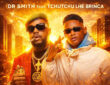 Dr. Smith feat. Tchutchu LiBrinca - Mestre Vida