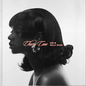 Didi B - Cherie Coco (Fally Ipupa)