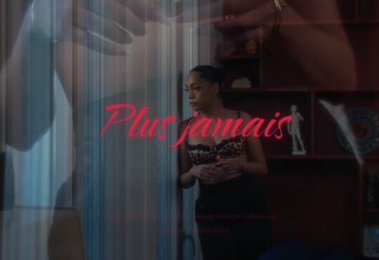 Fabregas Le Metis Noir - Plus jamais