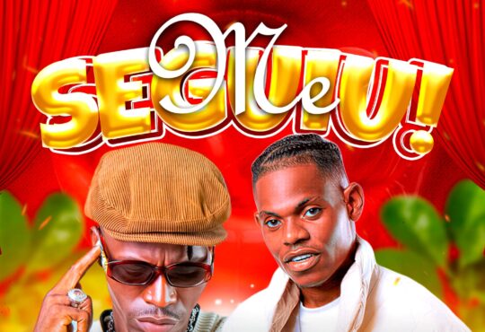 Stanna Carrega Ft PG Mestrão - Me Seguiu