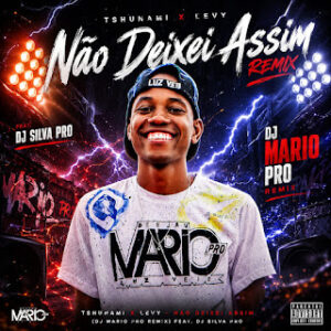 Tshunami & Levy - Não Deixei Assim (DJ Mario Pro feat. DJ Silva Pro Remix)
